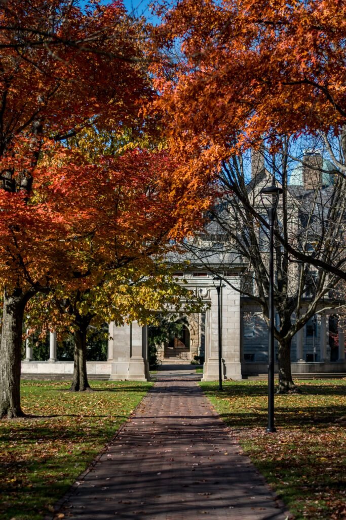 A picturesque autumn scene of a gateway framed by vibrant fall foliage in Oberlin, Ohio.